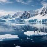 In 2016, countries came together to protect a huge part of Antarctica’s ocean, creating the world’s largest marine reserve | World News
