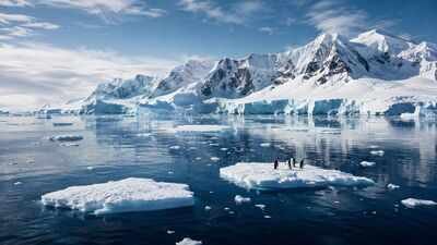 In 2016, countries came together to protect a huge part of Antarctica’s ocean, creating the world’s largest marine reserve | World News