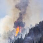In 2017, a wildfire advanced toward Roslyn, Washington; nine years later the town has deliberately burned 500+ acres of forest to build a protective shield against future fires