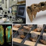 In the 1600s, people in Osaka ate dozens of species of fish, mammals and plants; 400 years later scientists found the evidence trapped in their teeth | World News