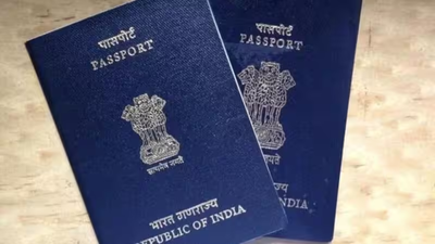 Indian couple in Ireland to return to Pune after 11 years, citing AI pressure and job stress