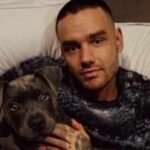 Liam Payne’s final hours: Two women from escort services hired by ‘One Direction’ singer reveal details of his hotel room chaos |