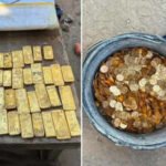 An 18-year-old construction worker in Belgium uncovered a €9 million gold hoard hidden inside a former brewery cellar