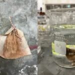 Meet Vick Tan: The Minnesota student who turned a teabag into a low-cost filter that removed more than 90% of arsenic from water |