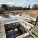 Michigan plans to remove the century-old Sanback Dam in 2026, reopening a half-mile of cold-water stream, restoring 14 wetland acres and protecting more than 70 downstream miles