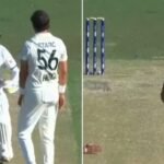 ‘You’re not in Bangladesh now’: Mitchell Starc, Mehidy Hasan clash as visitors dominate Darwin Test