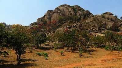 Oldest evidence of life on Earth has been discovered in India: A 3.4 billion-year-old layered rock shows signs of microbial life