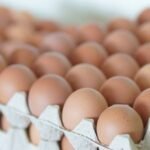 One dead, over 200 ill in UK Salmonella outbreak: Symptoms, cause and all you need to know | World News