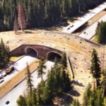 Oregon and Utah have built more than 130 wildlife crossings that could prevent deadly crashes and save both animals and human lives | World News