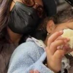 Priyanka Chopra Jonas shares quiet family time PICS; Malti Marie embraces her ‘desi’ side, pays tribute to Nana Ashok Chopra |