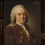 Quote of the day by Carl Linnaeus: “Human beings, having, above all creatures, received the power of reason, need to be..”﻿ |