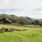 In 1974, the National Park Service bought the Stewart family’s 890-acre California ranch; they negotiated the right to remain and continued ranching there until 2021