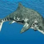 Neutron scans of a 100-million-year-old Queensland ichthyosaur found fish, cephalopods and a pterosaur in its stomach; crushing bite marks point to giant Kronosaurus