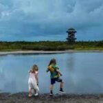 Florida spent about  million transforming degraded farmland near Tampa Bay into Robinson Preserve, a 700-acre coastal refuge that now draws about 240,000 visitors annually