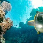 Between 2014 and 2017, underwater robots found surface chlorophyll 1,000 metres deep; scientists have now explained how it arrived