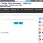 SGBAU Summer results 2026: Check B.E., B.Tech, M.B.A., L.L.B. and M.Sc. results here