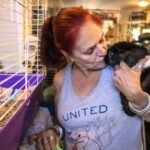 She lost a grandson and dozens of guinea pigs in a house fire; today, she runs a Massachusetts sanctuary caring for nearly 400 abandoned guinea pigs | World News