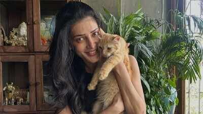 Shruti Haasan opens up about rehoming Persian cat Aslan after severe allergy, says, ‘It was heartbreaking’ |