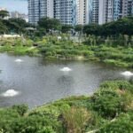Singapore rebuilt a vanished 1920s lake inside a new housing estate; engineers turned it into a flood-control system and wildlife habitat | World News