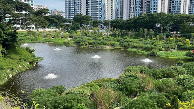 Singapore rebuilt a vanished 1920s lake inside a new housing estate; engineers turned it into a flood-control system and wildlife habitat | World News