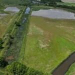 Washington began a two-year project to restore 270 acres in the South Fork Skagit estuary, reconnecting two islands to natural tidal habitat