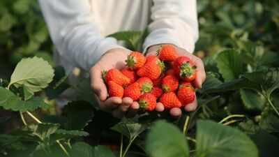 In 2024, a 192,560 sq ft industrial project won approval on 22 acres beside New Jersey’s Monmouth battlefield; two years later the state paid $15 million to preserve the former strawberry farm as part of the park