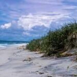 In the early 1960s, developers sold 5,850 lots for a private resort on Assateague Island; one five-day storm wiped out nearly every house and helped turn it into a national seashore