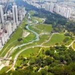 Singapore: In 2012, Singapore replaced a 2.7 km concrete drainage channel with a 3 km winding river; biodiversity in the park increased by 30%