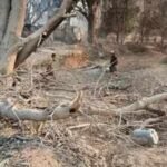 Myanmar military strike on Buddhist monastery kills 14, including three women