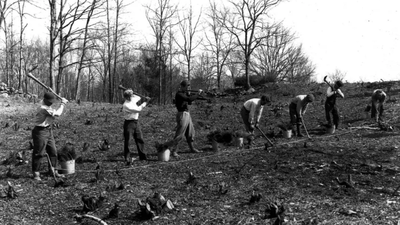 In 1943, Franklin Roosevelt gave his family home and 33 acres to the US government while retaining family rights to live there; he had expanded the estate to nearly 1,500 acres and planted over 500,000 trees