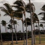 Tropical Storm Lala in Hawaii: Roads collapse, 100 homes swept away, no power, mobile service; 1 dead