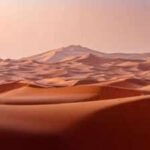 UAE is turning desert sand into eco-friendly bricks, and the method cuts cement needed for construction to nearly half