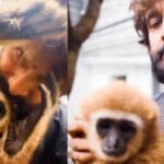 Chiyaan Vikram faces online backlash over Lar Gibbon video, actor deletes post as questions about exotic animal ownership and wildlife claims surface |