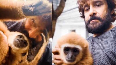 Chiyaan Vikram faces online backlash over Lar Gibbon video, actor deletes post as questions about exotic animal ownership and wildlife claims surface |