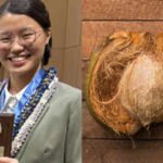 Meet Vera Wang, the Hawaii high school senior who built a coconut-based ocean filter as a sophomore; two years later, she found fungi in coconut husks that can biodegrade plastic and sunscreen