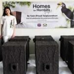Meet Yanin ‘Proud’, a 17-year-old Thai student who built artificial hornbill nests from recycled plastic and won two global conservation awards | World News