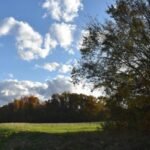 In 1988, Ohio attorney Neil McKown secretly bought 155 neglected acres; 38 years later, the family farms nearly 500 acres and he declined a 0,000-0,000 timber cut to keep the woods