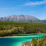 In 1993, a project set out to reconnect wildlife habitat from Yellowstone to Canada’s Yukon; its partnerships have now helped create 204 crossings and protect 24 million hectares