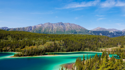 In 1993, a project set out to reconnect wildlife habitat from Yellowstone to Canada’s Yukon; its partnerships have now helped create 204 crossings and protect 24 million hectares