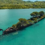 160 years ago, a ship caught fire and ran aground off Australia; now, mangroves have turned it into a living island filled with greenery and wildlife | World News