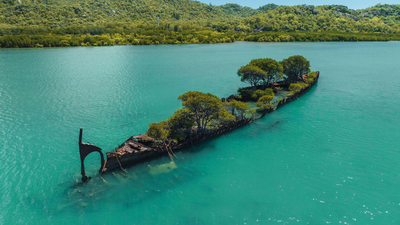 160 years ago, a ship caught fire and ran aground off Australia; now, mangroves have turned it into a living island filled with greenery and wildlife | World News