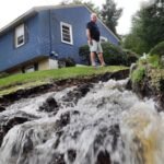 In 1999, scientists dropped 45 tons of wollastonite over a 29-acre New Hampshire watershed to replace calcium lost to acid rain; by 2013, it was exporting 30 times more inorganic nitrogen than nearby watersheds