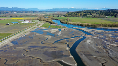 In 2009, Washington removed a century-old dike and let tides reclaim 762 acres; 21 miles of channels reopened, and young Chinook salmon entered the restored marsh in their first migration season