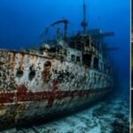 In 2002, South Australia sank ex-HMAS Hobart in under 3 minutes; 18 years later, a marine survey recorded more than 50 fish species around the destroyer