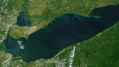 After a 25-acre Lake Erie wetland was reconnected, sonar recorded 3.44 million fish detections over 2,022 monitoring hours across four years, showing the restored habitat was used continuously