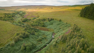 A company bought 7,500 acres of England for £8.5 million to create ‘Britain’s Yellowstone’; after investors are repaid, it plans to give the land to a community or charity