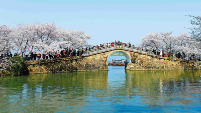 China tested nanobubbles across a 3,300-square-metre section of Taihu Lake; within 20 days a key measure of cyanobacteria fell nearly 90% and ammonia nitrogen dropped sharply