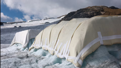 Scientists covered 200 square metres of a Swiss glacier with sheep’s wool; early tests found it protected the ice about as well as plastic sheets, but only 0.02% of Swiss glacier ice is covered
