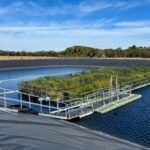 In 2023, Australia put a 330-square-metre floating wetland on a wastewater lagoon; two years later researchers found methane emissions had fallen by up to 66%