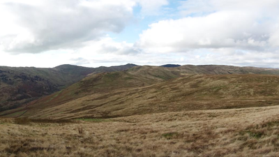 In 2012, an English upland restoration project began fencing sheep out of Tebay Common; 60,000 trees later, lost woodland is returning and 11 new breeding bird species have been recorded since 2016